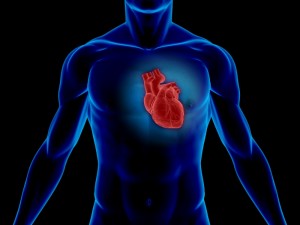 Prévenir les maladies cardiovasculaires